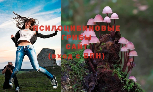 COCAINE Белоозёрский