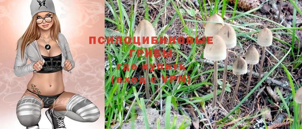 крисы Богданович